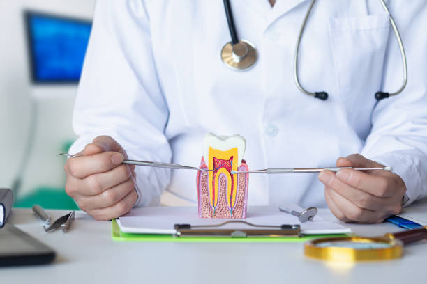 Best Emergency Root Canal Therapy in Big Bass Lake, PA